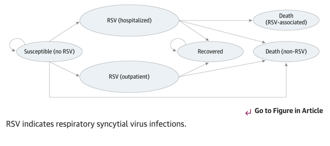 Optimizing Timing for Respiratory Syncytial Virus Prevention Interventions for Infants